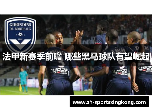 法甲新赛季前瞻 哪些黑马球队有望崛起