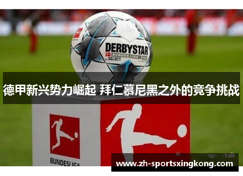 德甲新兴势力崛起 拜仁慕尼黑之外的竞争挑战